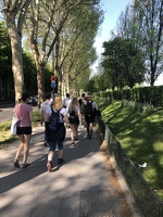 2019 napoleon pariz 35