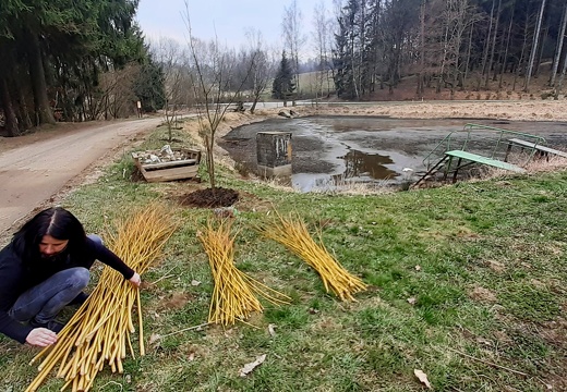Přírodní zahrada