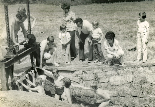 1981