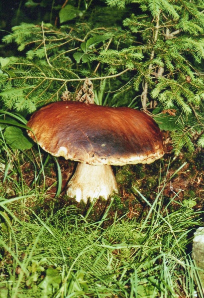 2006_prvni_beh_30.jpg