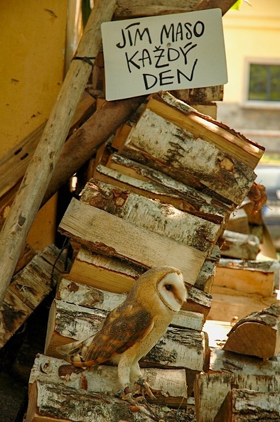 2017_klimatour_068.jpg