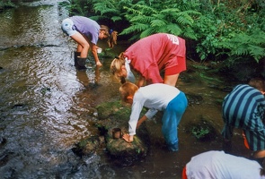1998 Ibeh kunik 036