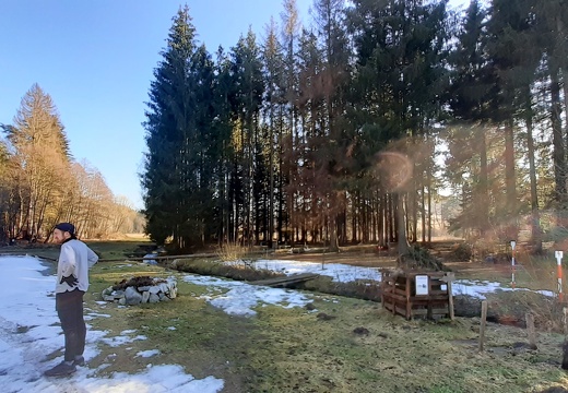 Dřevonadělání