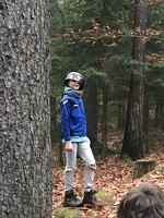 2017 podzimak 027