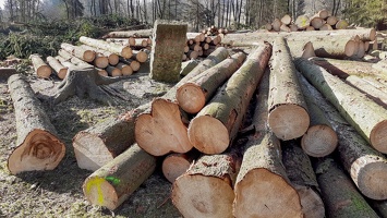 2021 april vykaceno 19