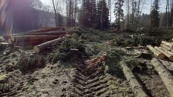 2021 april vykaceno 20