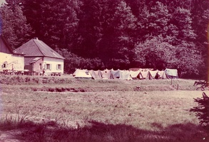 1972 rohozna barva 06