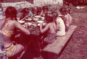 1972 rohozna barva 13