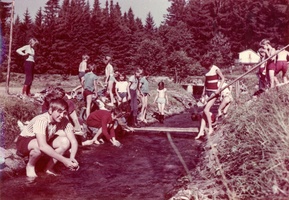 1972 rohozna barva 22
