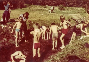 1972 rohozna barva 28