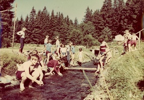 1972 rohozna barva 31