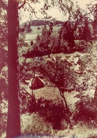 1972 rohozna barva 32