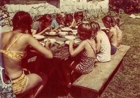 1972 rohozna barva 33
