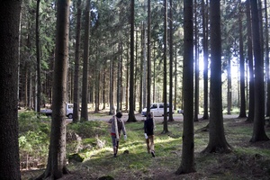 2013 drevobrigade 32