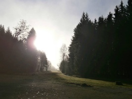 2013 podzimak (2)