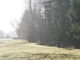 2013 podzimak (8)