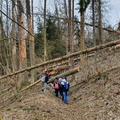 MNI_16.jpg