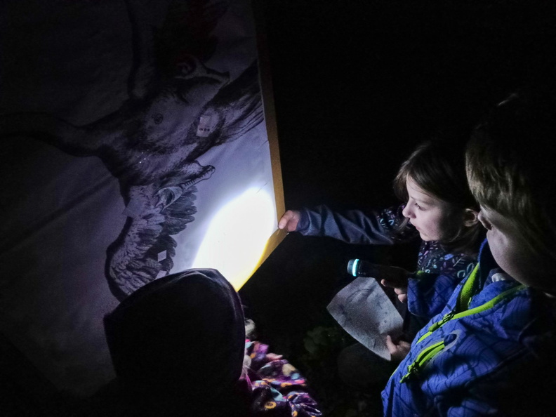 2022_slunakov_59.jpg