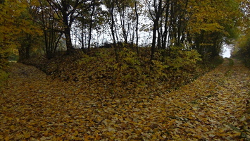 podzimak 44