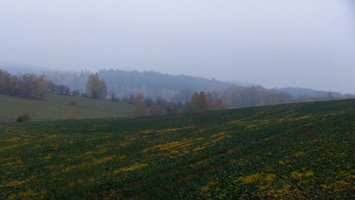 podzimak 51