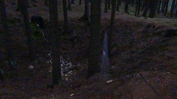 podzimak 124
