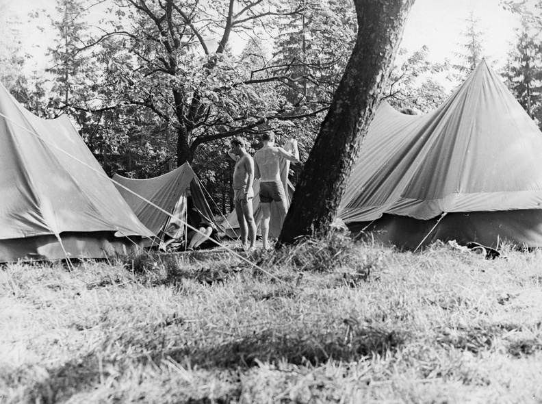 1968_rohozna_009.jpg