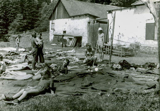 1968