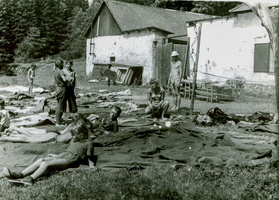 1968 rohozna 025