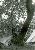 1968 rohozna 028
