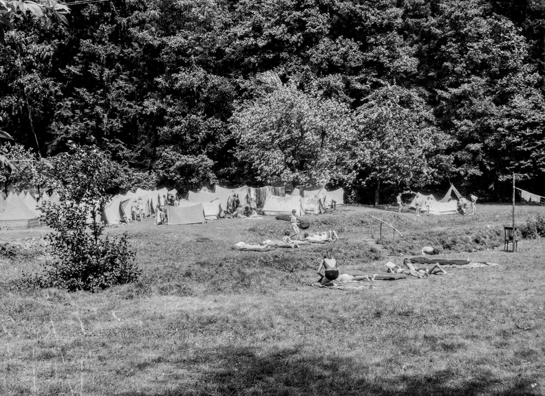 1969_rohozna_02.jpg