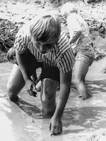 1970 rohozna 34