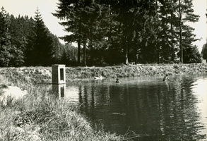 1972 rohozna 11