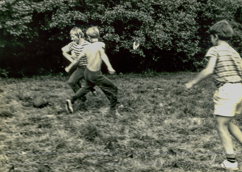 1973_rohozna_39.jpg