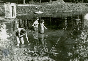 1973 rohozna 59