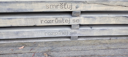 IMG 20221023 100743