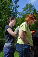 DSC 0083