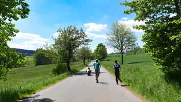 2017 maraton 11