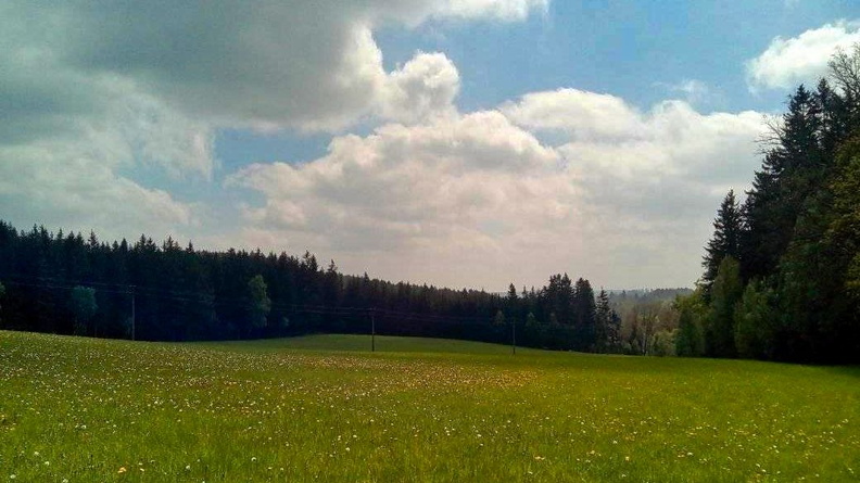 2019_maraton_12.jpg