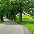 2024_maraton_35.jpg