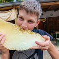 IMG_20240709_180856.jpg
