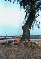 1999 mladeznak 12