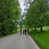 2025 maraton 06