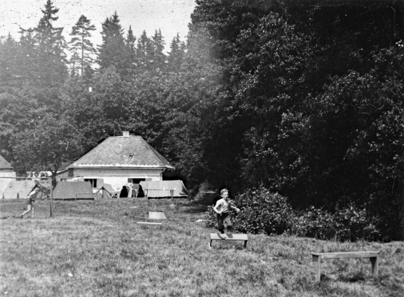 1978_rohozna_014.jpg