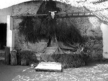 kelt08.jpg