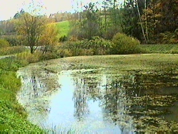 Podzimní