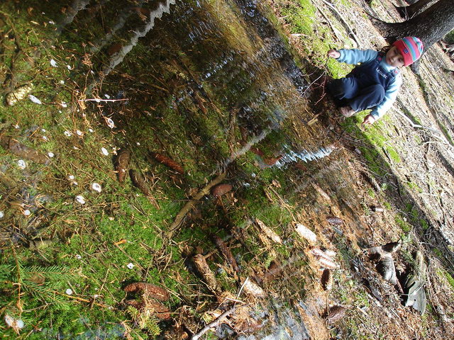DSC01694.JPG
