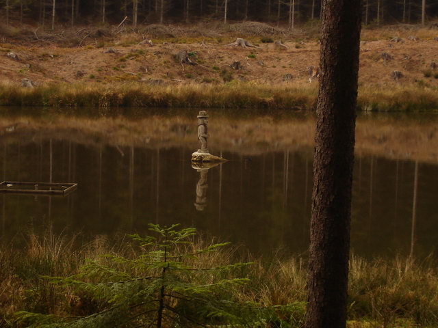 DSC08290.JPG