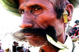 moustache.jpg