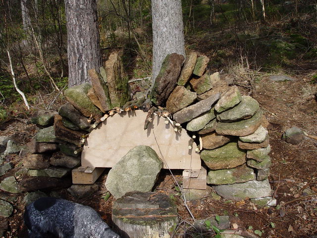 DSC01129.JPG