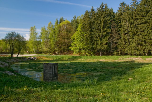 DSC_0039.jpg